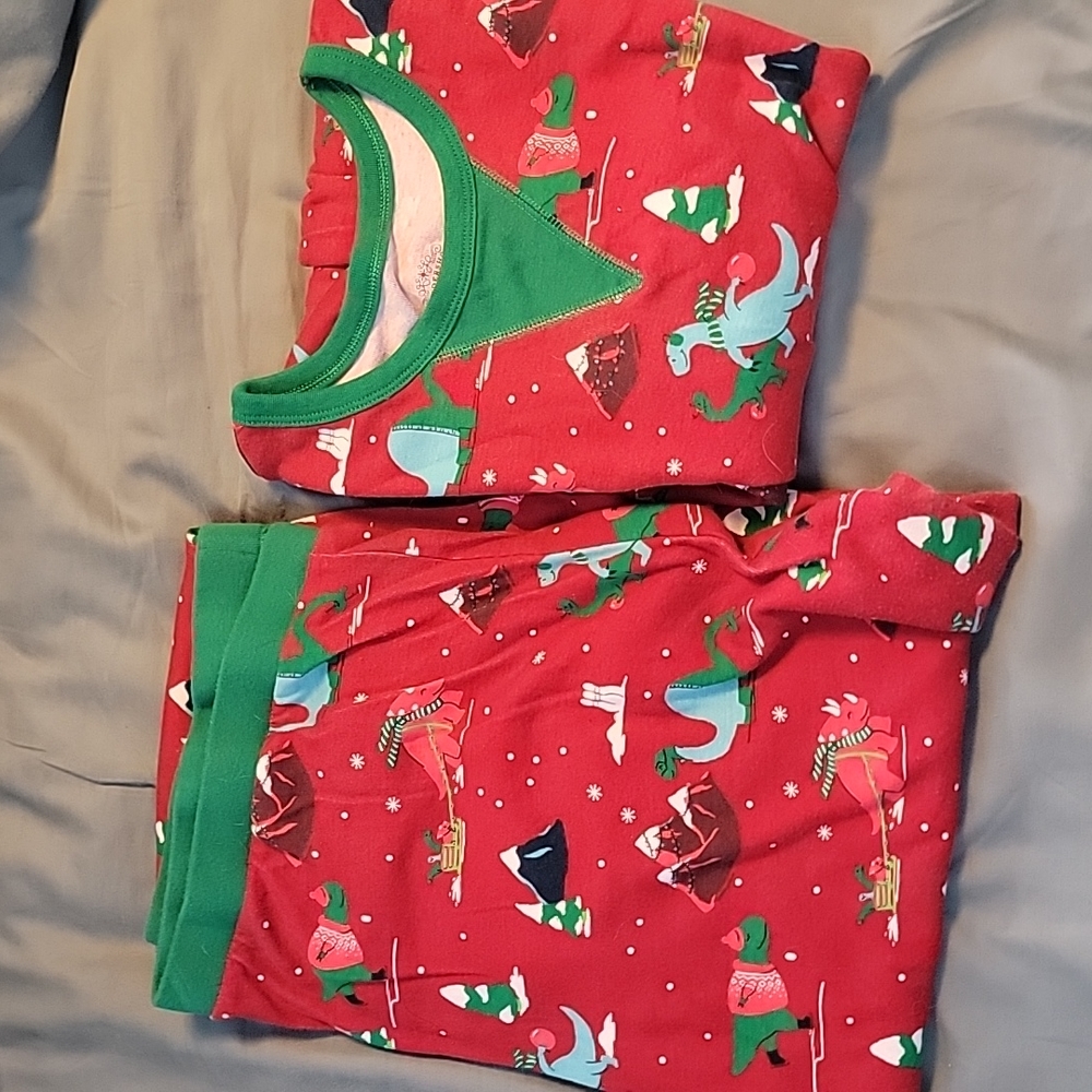 Matching dinosaur pajama set